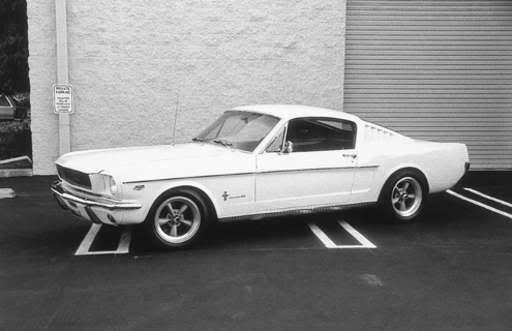 6620Mustang2022_jpg_as512x384.jpg