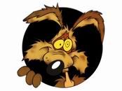 Coyote.jpg