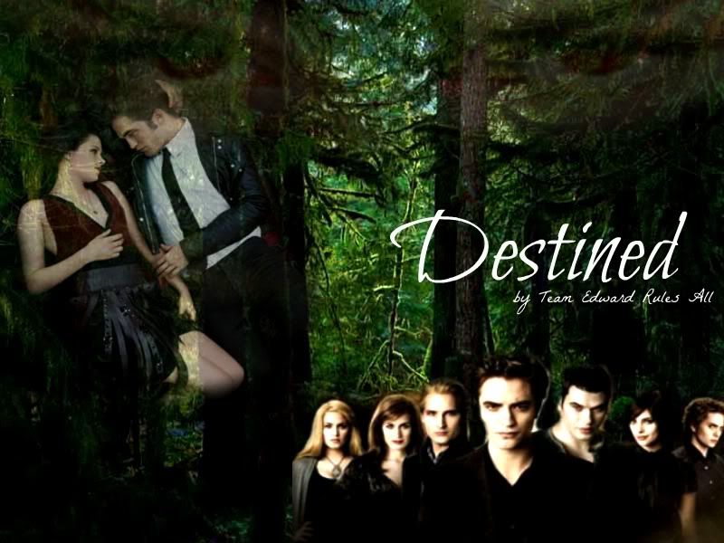 Destined Banner Real