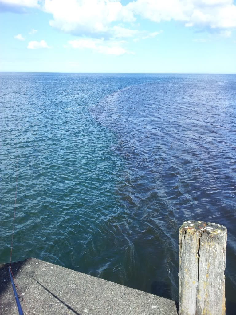 2012-06-19154530.jpg