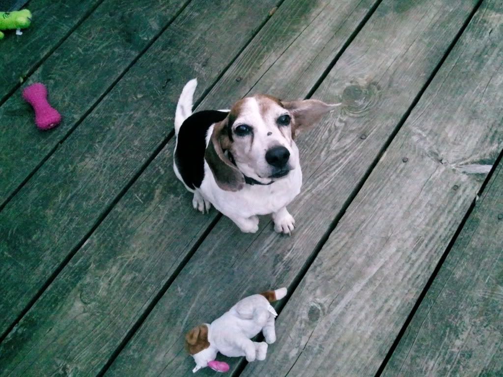 2010-10-14170942.jpg