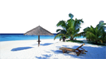 Custom Image Custom Forum Image