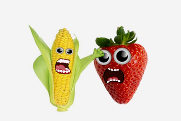 cornstrawberryfight_zps210444c3.jpg