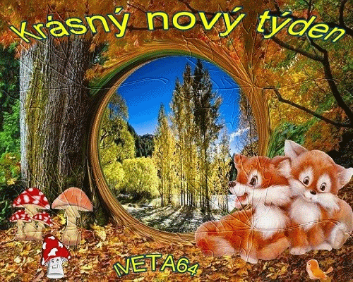http://i875.photobucket.com/albums/ab319/evahnizdo/Z154.gif