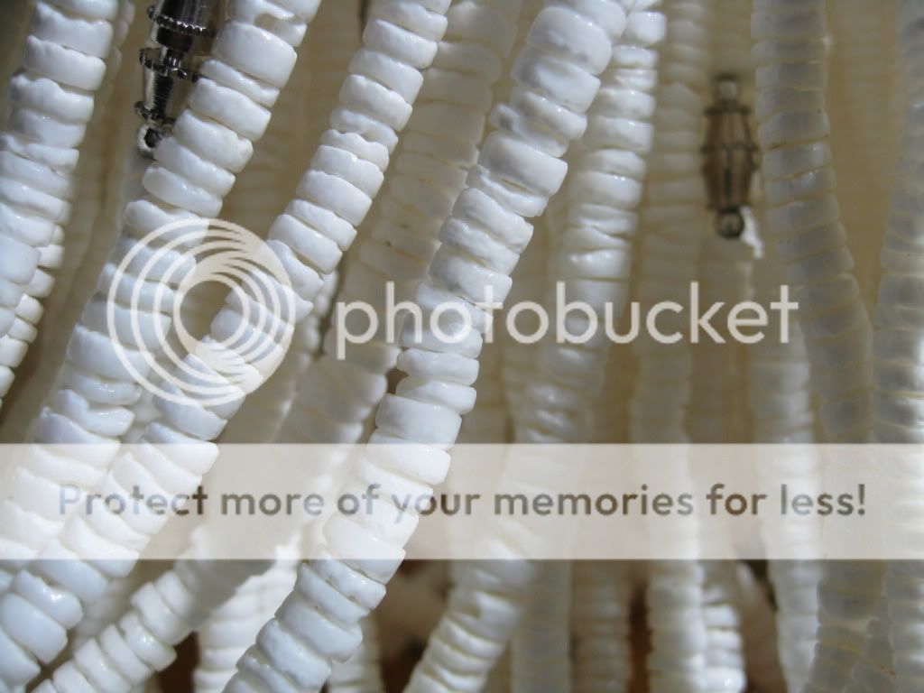 Beach Surfer WHITE Puka Shell Necklaces (6 sizes)  