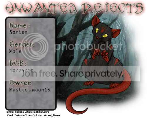 User Image